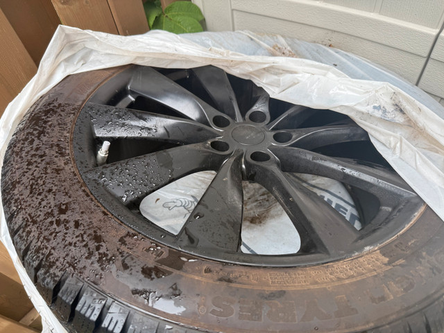 20" Tesla Model X Winter Package in Tires & Rims in Ottawa - Image 3