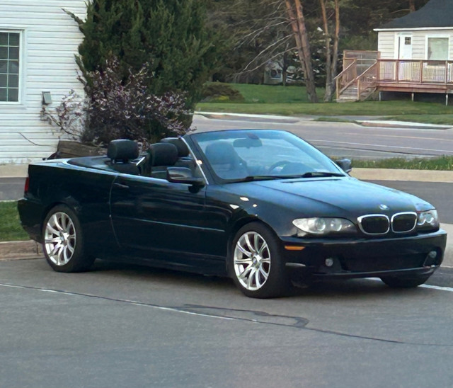 2004 BMW 325Ci in Cars & Trucks in Moncton - Image 3