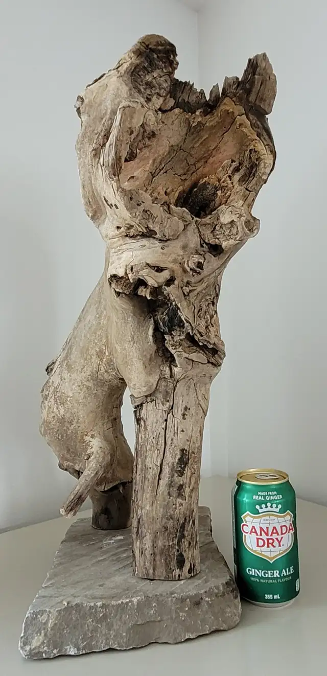 Bois Flotté Accessoire sur base Aquarium Driftwood w/base in Hobbies & Crafts in Laval / North Shore - Image 2
