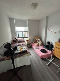 Room for rent for 4 months ( may 1 - august 30