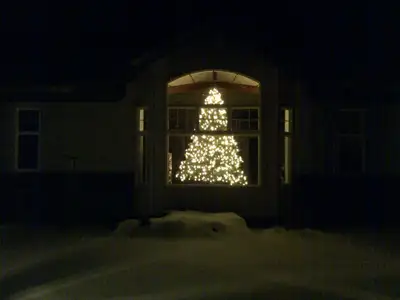 9 foot Christmas tree - $50, View more