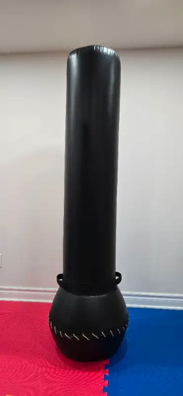 Freestanding Bounce Back Heavy Bag / Boxing Gloves, View more