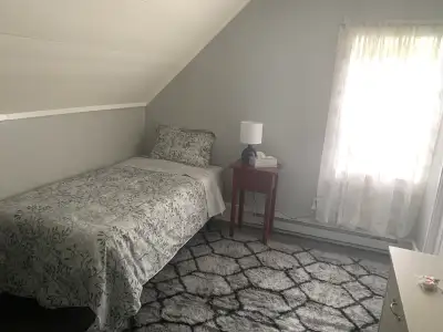 Room for rent in quiet, shared house with owners on site Located in a country setting Must have tran...