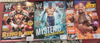WWE  Magazines, RCA-videotape NO HOLDS BARRED