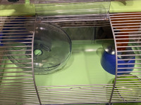 Cage à hamster (négociable)