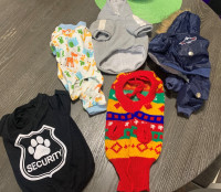 Dog Clothes small items