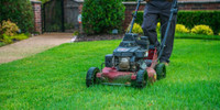 Offering Lawn Cutting Maintenance in the spring and summer.