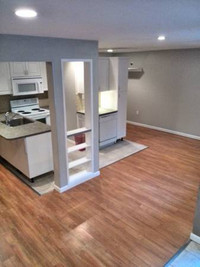 Legal 2 bedrooms basement suite (Willoughby Heights)