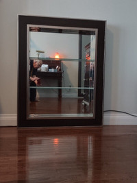 Mirrored Wall Display Cabinet