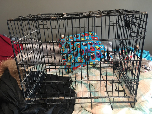 Pet kennel/cage  in Accessories in Kitchener / Waterloo - Image 2