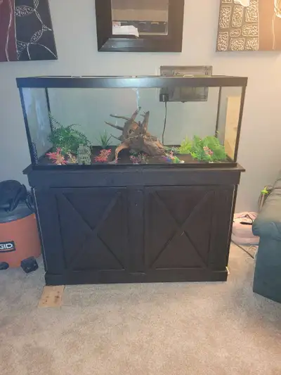 complete 75 gallon aquarium, View more