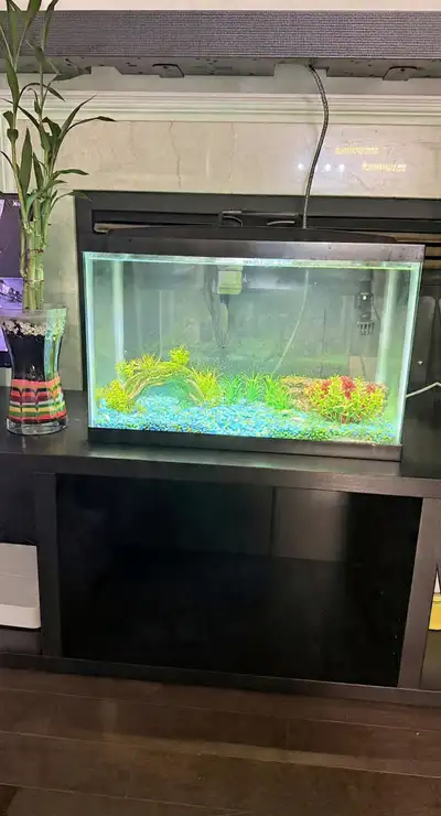 Aqueon Aquarium Tank, View more