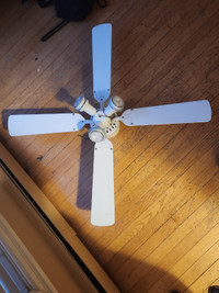 Ceiling Fan with Lighting
