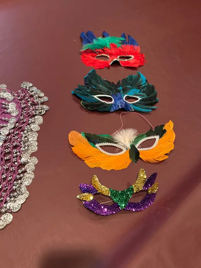 Mardi Gras Halloween costume one size fits all adjustable63749433515137121