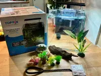 (Pick up in Airdrie) 3 gallon rimless glass aquarium set up 