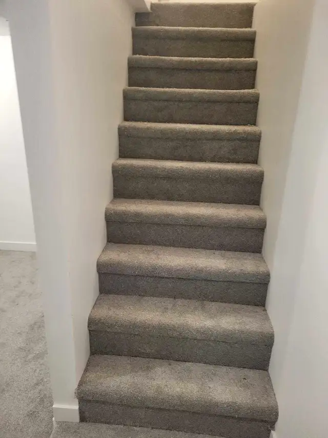 professional carpet supply and install63013091141251123