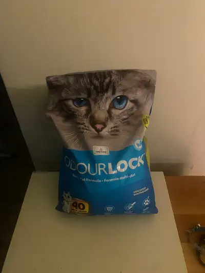 cat litter & litter box , View more