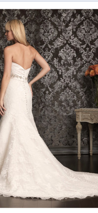 Allure Bridal Wedding Gown 