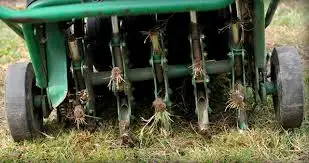 Aeration, Lawn Rolling, Dethatching and Fertilizing. in Lawn, Tree Maintenance & Eavestrough in Kitchener / Waterloo - Image 6