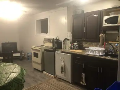 Available for January 1 intake we are providing a room in the basement shared with others one bathro...