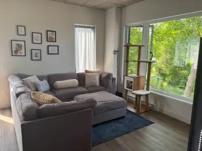 CESSION DE BAIL – Grand 4 ½ à Lévis | Animaux acceptés | Tout inclus + stationnement intérieur 2063...