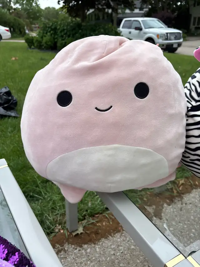 squishmallows  in Toys in Windsor Region - Image 3