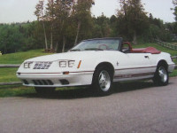 1984 Ford Mustang GT 350