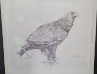 Golden Eagle Print DOKO Artist Signed Limited 2005