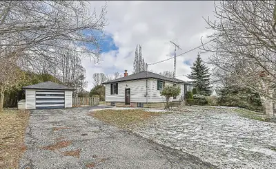 Spacious, well-maintained bungalow with 3 bedrooms and 1 bathroom on the main floor, plus 3 bedrooms...