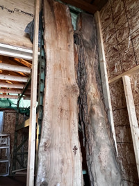 Live edge maple ash elm cottonwood lumber all sizes mantles 