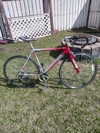Crimson Triax Road Bike