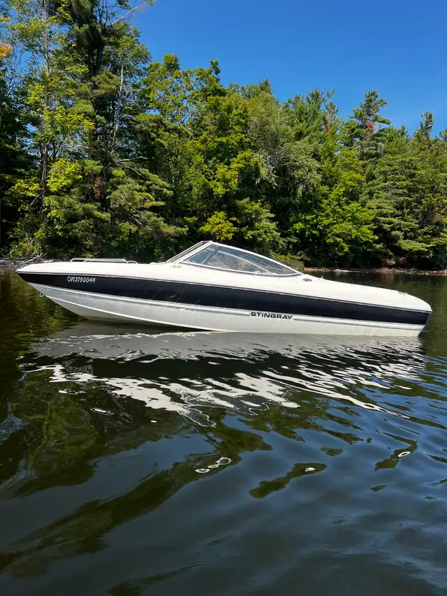 2013 Stingray 195LX in Other in Muskoka - Image 4