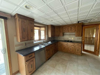 Kitchen cabinets and counter top