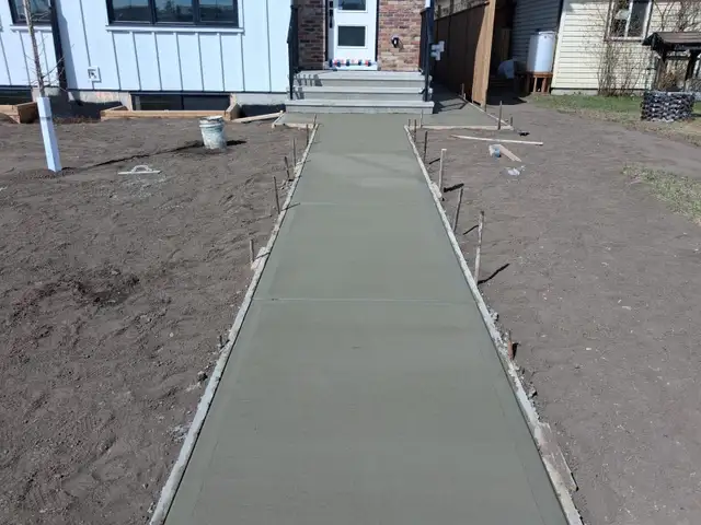 DRIVEWAY, SIDEWALK & BACK DOOR ENTRY