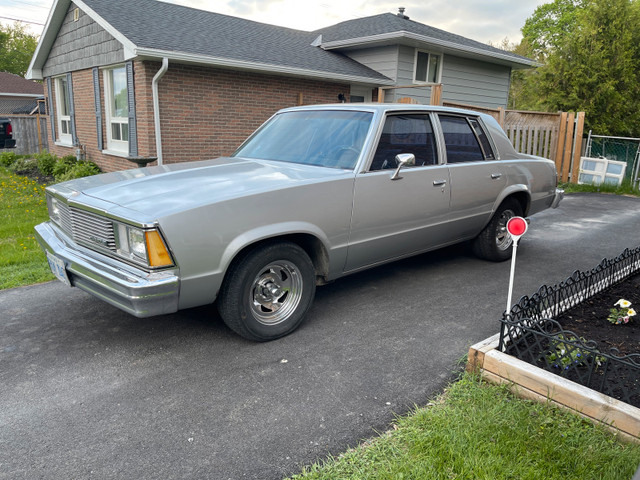 1981 chevy malibu  in Classic Cars in Ottawa - Image 2