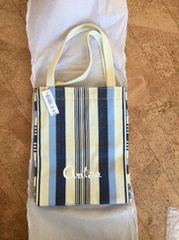 Aritzia Tote Bag 2 Inside Zipper Pockets Blue & Cream Strips