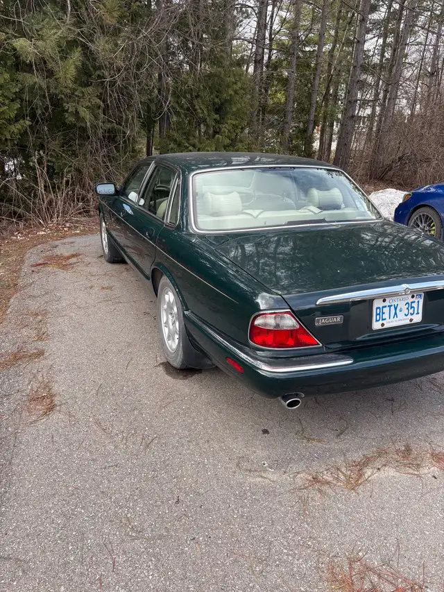 Jaguar XJ8556564731690362881