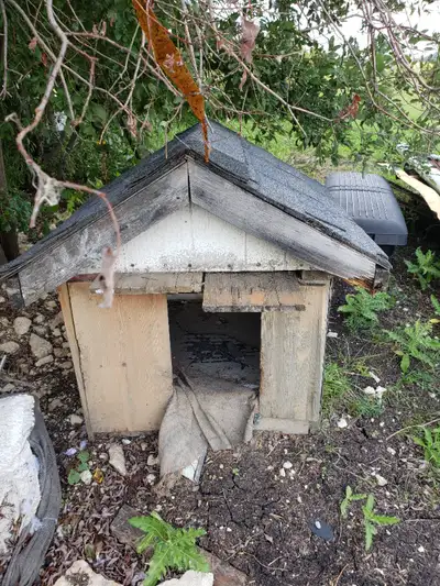 Free Dog House