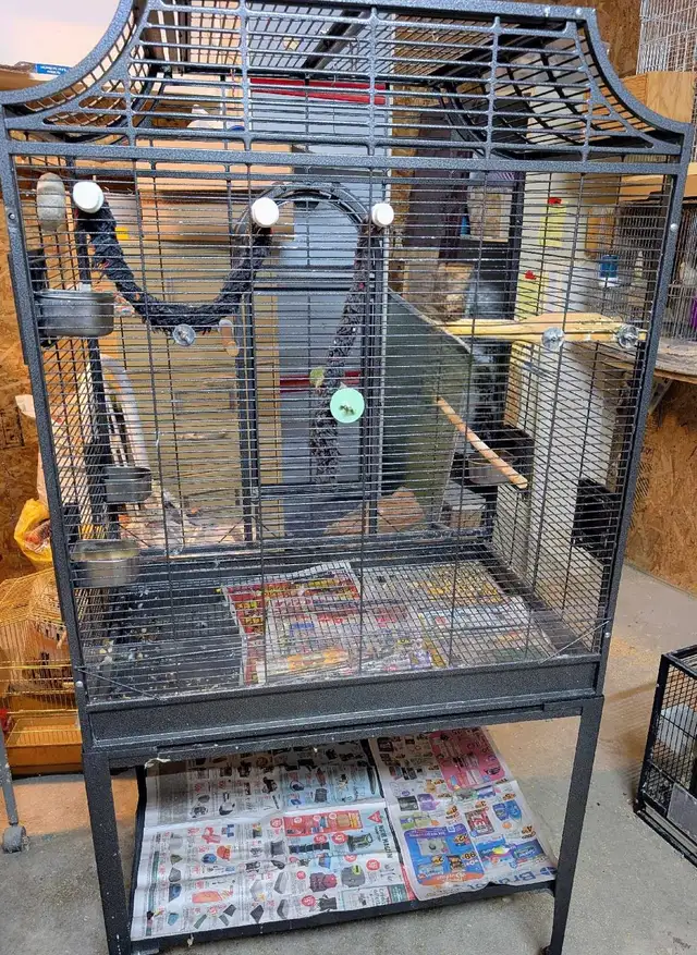 Grande cage pour oiseaux | Accessories | Laval / North Shore | Free ...