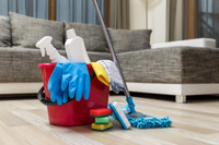 Professional Cleaning Staff