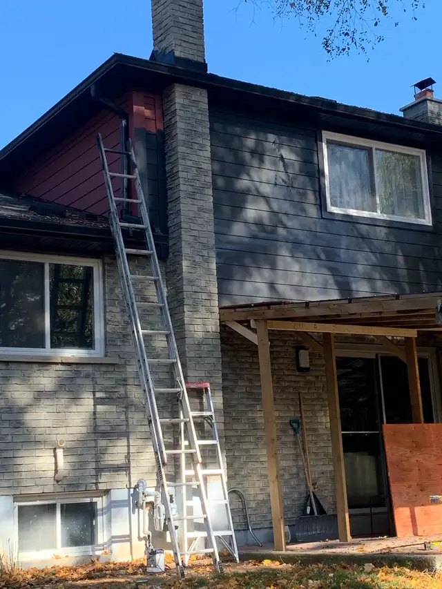 pro painter65561336817793121