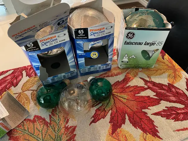 Light Bulbs in Indoor Lighting & Fans in Brantford - Image 2