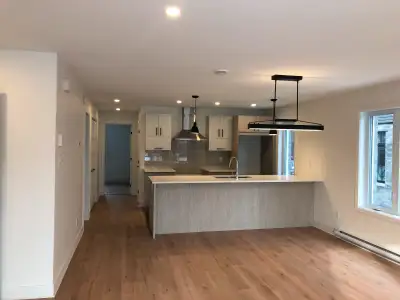 Sunny, modern, 4 1/2 in St. Hubert, 2 parkings, new construction
