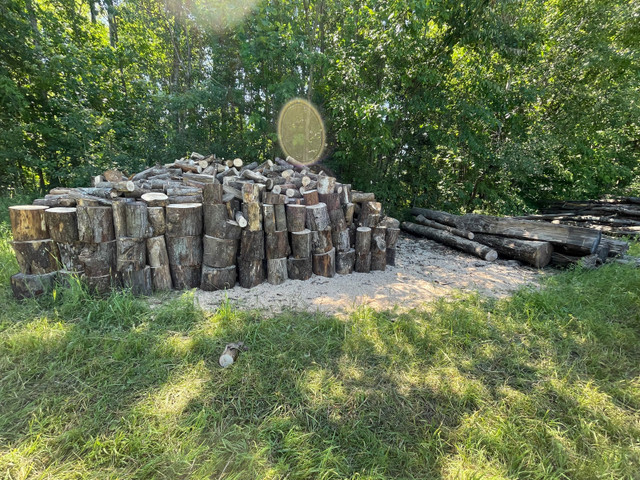 Seasoned Hardwood Firewood in Other in Kingston - Image 4