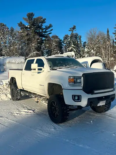 Big Boy Duramax deleted and lifted 6”, great power and fuel mileage low kilometres 200k