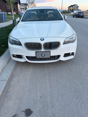 2011 BMW 5 Series 550i xDrive