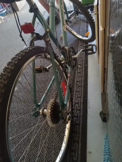 12 speed mountain bike used 1 time may only have 2km on it like new condition only asking $100