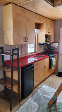 Kitchen cabinets and quartz countertop