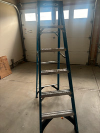 Werner Blue Step Ladders