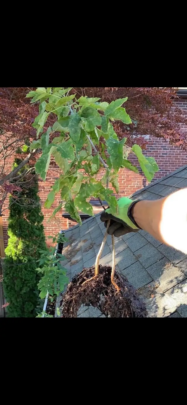 Gutter Cleaning, Repair & Installation – Photo-Verified Service